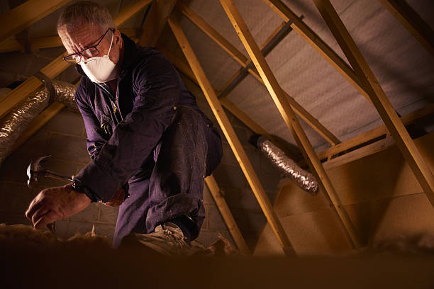 Best DIY Insulation Kits and Guidance in Clear Lake, SD